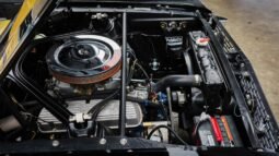 
										1966 Shelby Mustang GT350H Black full									