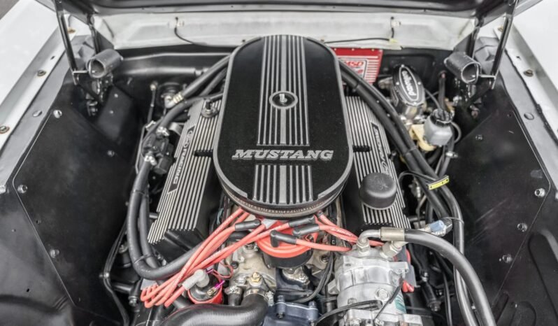 
								1965 Ford Mustang Fastback 331 V8 full									