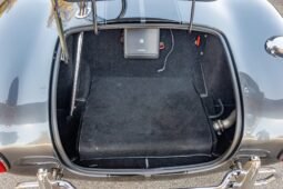 
										1965 Hurricane Motorsports Shelby Cobra full									