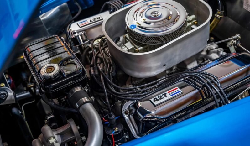 
								1965 Shelby Cobra CSX6000 full									