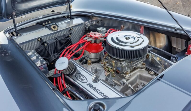 
								1965 Hurricane Motorsports Shelby Cobra full									