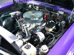 
										1965 Chevrolet Chevelle Malibu V8 Super Sport full									