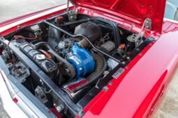 
										1966 Shelby Mustang GT350 full									