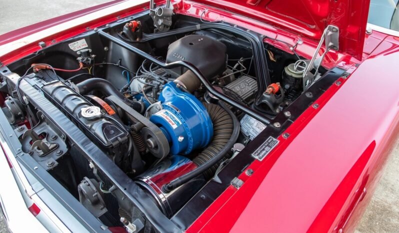 
								1966 Shelby Mustang GT350 full									