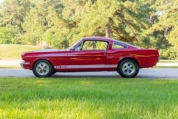 1966 Shelby Mustang GT350