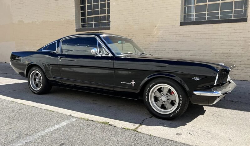 
								1965 Ford Mustang 331 Fastback full									