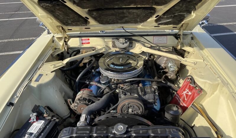 
								1965 AMC Rambler Ambassador 990-H V8 full									