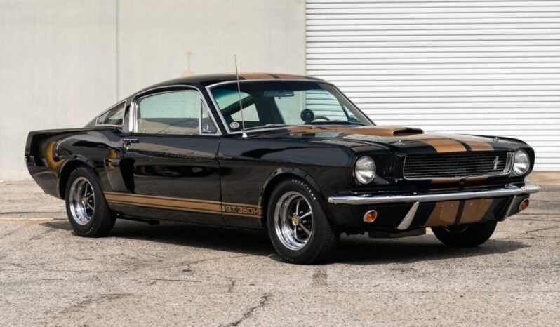 
								1966 Shelby Mustang GT350H Fastback full									