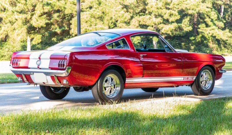 
								1966 Shelby Mustang GT350 full									