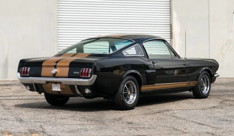 
								1966 Shelby Mustang GT350H Fastback full									