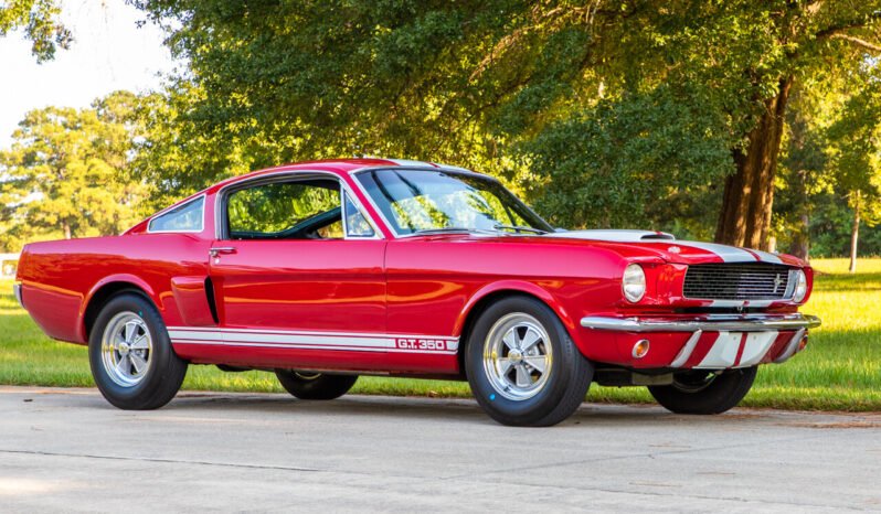 
								1966 Shelby Mustang GT350 full									