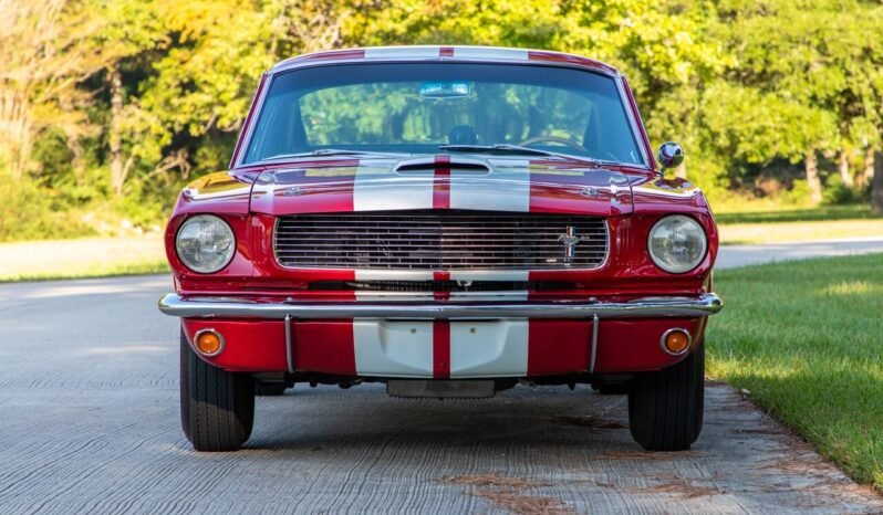 
								1966 Shelby Mustang GT350 full									