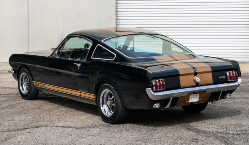 
								1966 Shelby Mustang GT350H Fastback full									