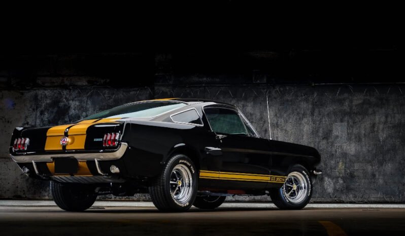 
								1966 Shelby Mustang GT350H Black full									
