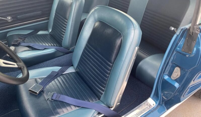 
								1967 Ford Mustang 5-Speed full									