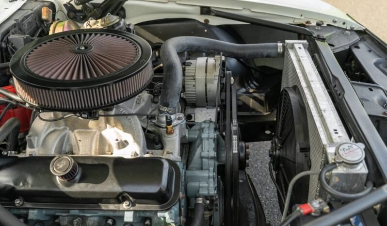 
								1969 Pontiac Firebird 350 V8 full									