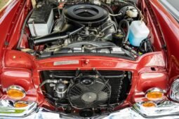 
										1971 Mercedes-Benz 280SE V8 Cabriolet full									