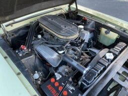 
										1967 Shelby Mustang GT500 V8 Lime Gold full									
