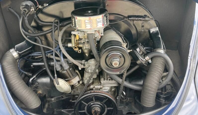 
								1969 Volkswagen Beetle full									