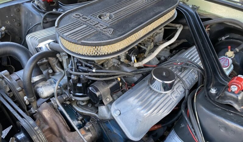 
								1967 Shelby Mustang GT500 V8 Lime Gold full									