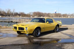 1970 Pontiac Firebird Esprit V8