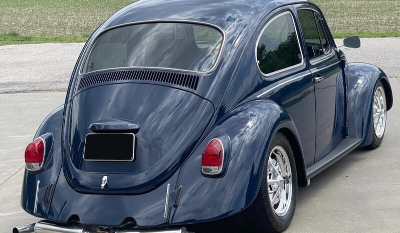 
								1969 Volkswagen Beetle full									
