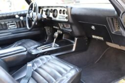 
										1970 Pontiac Firebird Esprit V8 full									