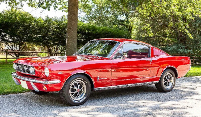 
								1966 Ford Mustang Fastback full									