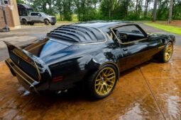1979 Pontiac Firebird Trans AM