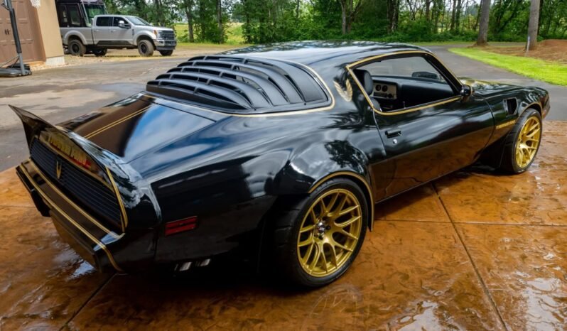 
								1979 Pontiac Firebird Trans AM full									