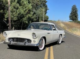 1956 Ford Thunderbird V8 White