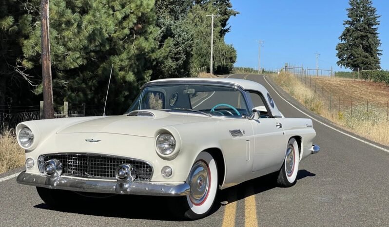 
								1956 Ford Thunderbird V8 White full									