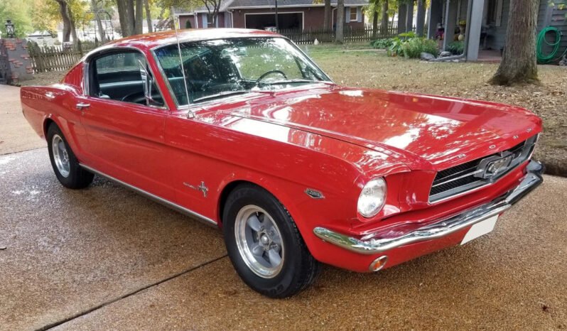
								1965 Ford Mustang Fastback full									