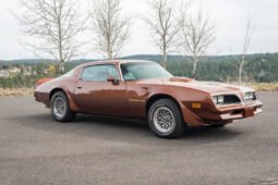 
										1978 Pontiac Firebird 400 Trans AM V8 full									