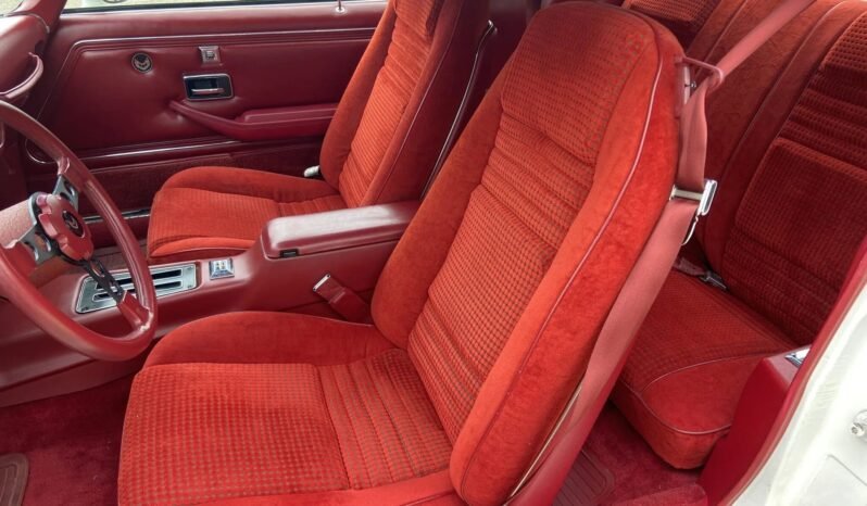 
								1979 Pontiac Firebird Trans AM WS6 3-Speed full									