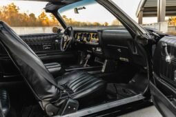 
										1976 Pontiac Firebird Trans AM Special Edition full									