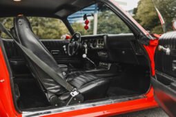 
										1975 Pontiac Firebird Trans AM V8 full									