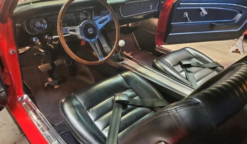 
								1965 Ford Mustang Red V8 full									