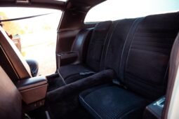 
										1979 Pontiac Firebird Trans AM WS6 full									