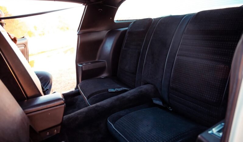 
								1979 Pontiac Firebird Trans AM WS6 full									