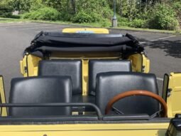 
										1974 Volkswagen Thing full									