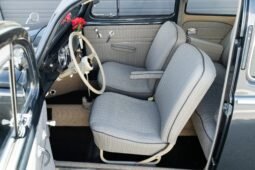 
										1953 Volkswagen Beetle full									