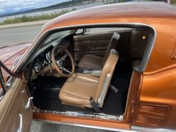 
										1967 Ford Mustang GT Fastback 289 V8 full									