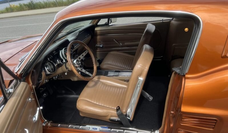 
								1967 Ford Mustang GT Fastback 289 V8 full									