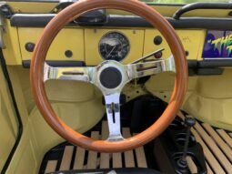
										1974 Volkswagen Thing full									