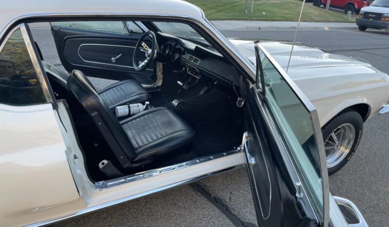 
								1967 Ford Mustang Coupe GT500-style full									