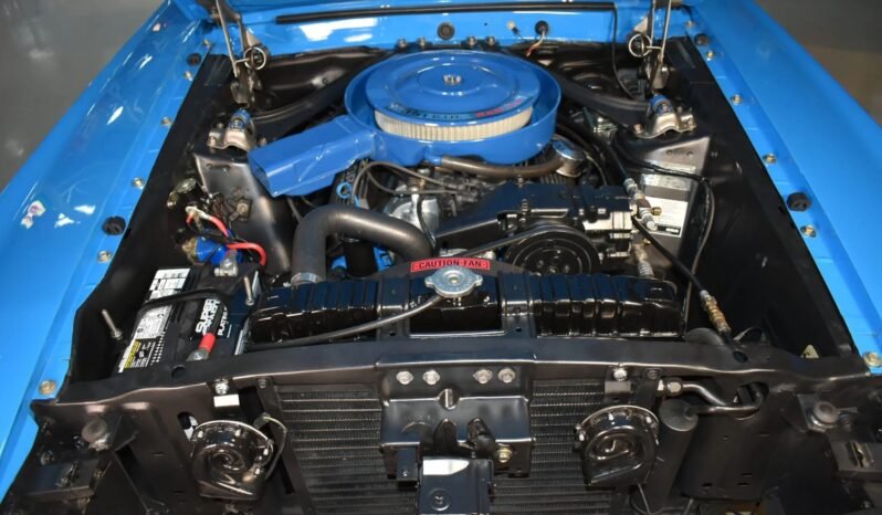 
								1969 Shelby Mustang GT350 V8 Hertz full									
