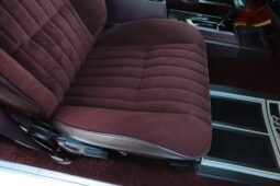 
										1986 Chevrolet El Camino Choo Choo SS full									