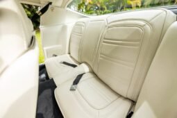 
										1974 Pontiac Firebird Trans AM V8 full									