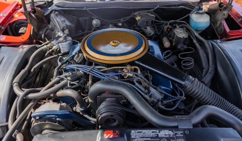 
								1976 Cadillac Eldorado Soft Top full									